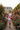 Paris Rose Garden