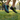 Park jogging shot