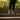 Park Steps Shot
