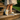 Park Steps Shot