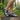 Park trail close-up black