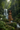 Rainforest Clean