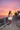 Rooftop Sunset