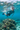 Snorkeling tropical coral reef