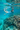 Snorkeling tropical coral reef