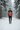Snowy pine forest trail