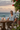 Sunset Palms - Dining