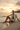 Sunset Shore