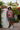 Surfer Summer – Tropical Courtyard