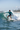 Surfing ocean wave action shot