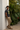 Surfxion – Chinos
