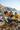 Tide Pool Crew