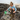 Tide pool exploration