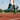 Track running shot