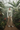 Tropical Greenhouse