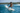 Tropical Look – Surfing