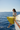 Yacht Editorial