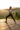 Yoga Wellness Editorial