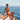 Women's swimwear