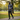 African male model outdoor park