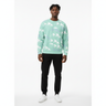 Black male model mint sweatshirt white background