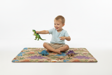 Dinosaur adventure play