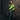 Male brick wall
