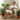 Man in Rattan Chair
