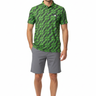 Polo with Gray Boardshorts