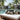 Poolside Luxury