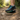 Trail running shot